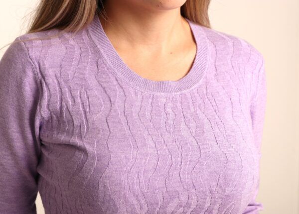 Suéter Feminino Gola Redonda Trabalhada-Ref. 2459 - Imagem 2